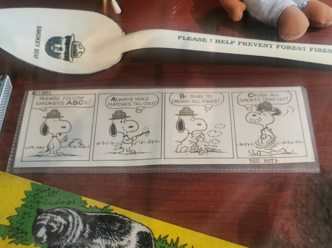 Smokey Bear Museum and Gift Shop-Capitan必去景点
