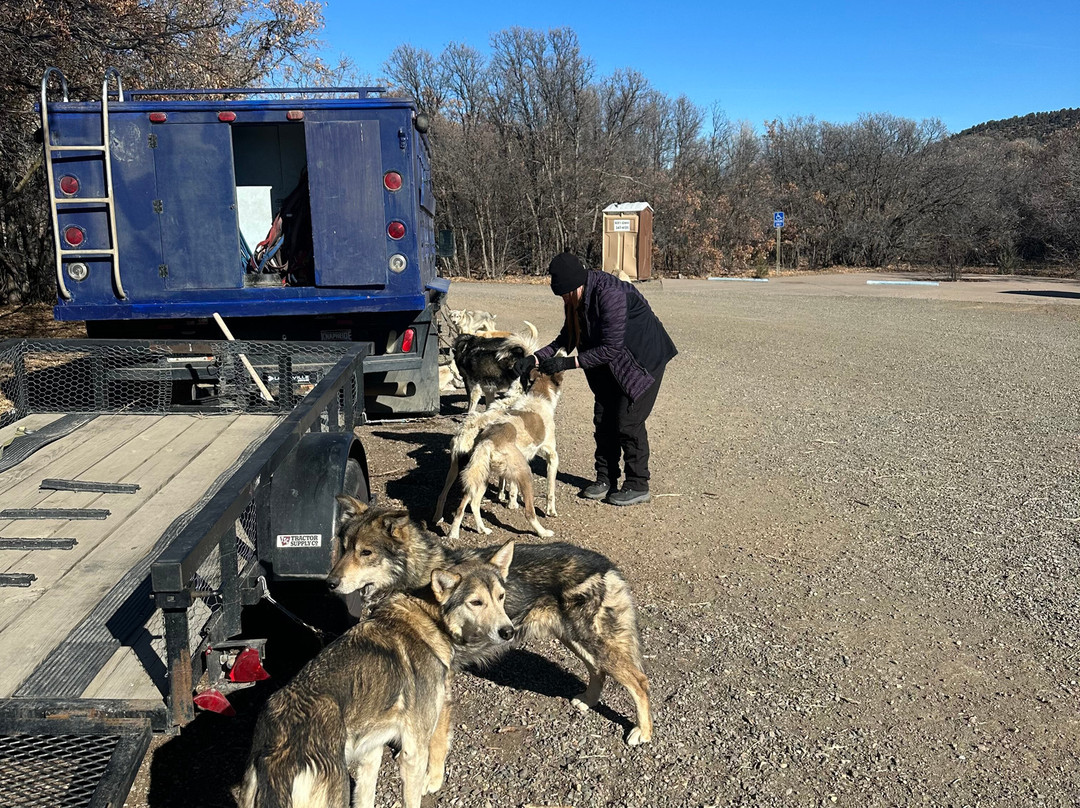 Mountain Paws-帕戈萨斯普林斯必去景点