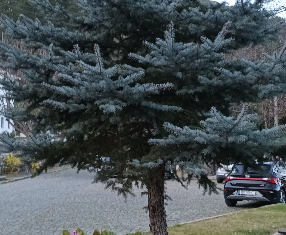 Inatel Manteigas Hotel主图