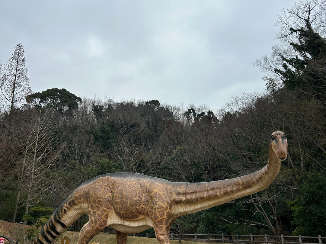 Hourseshoe Crab Museum-笠冈市必去景点