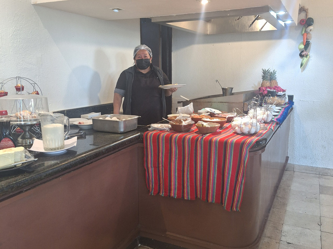 Mision Torreon主图