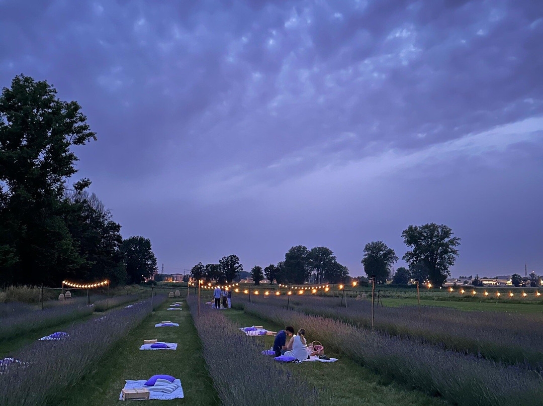 Cascina Pizzo, F.lli Scotti