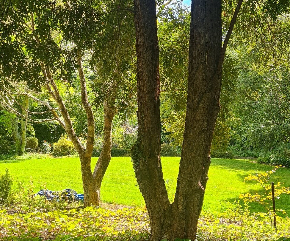 Eastwoodhill Arboretum景点图片