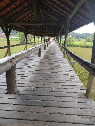 Parque Tingui-库里提巴必去景点