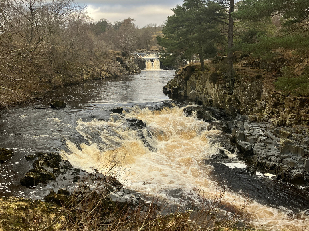 玫瑰和王冠酒店主图