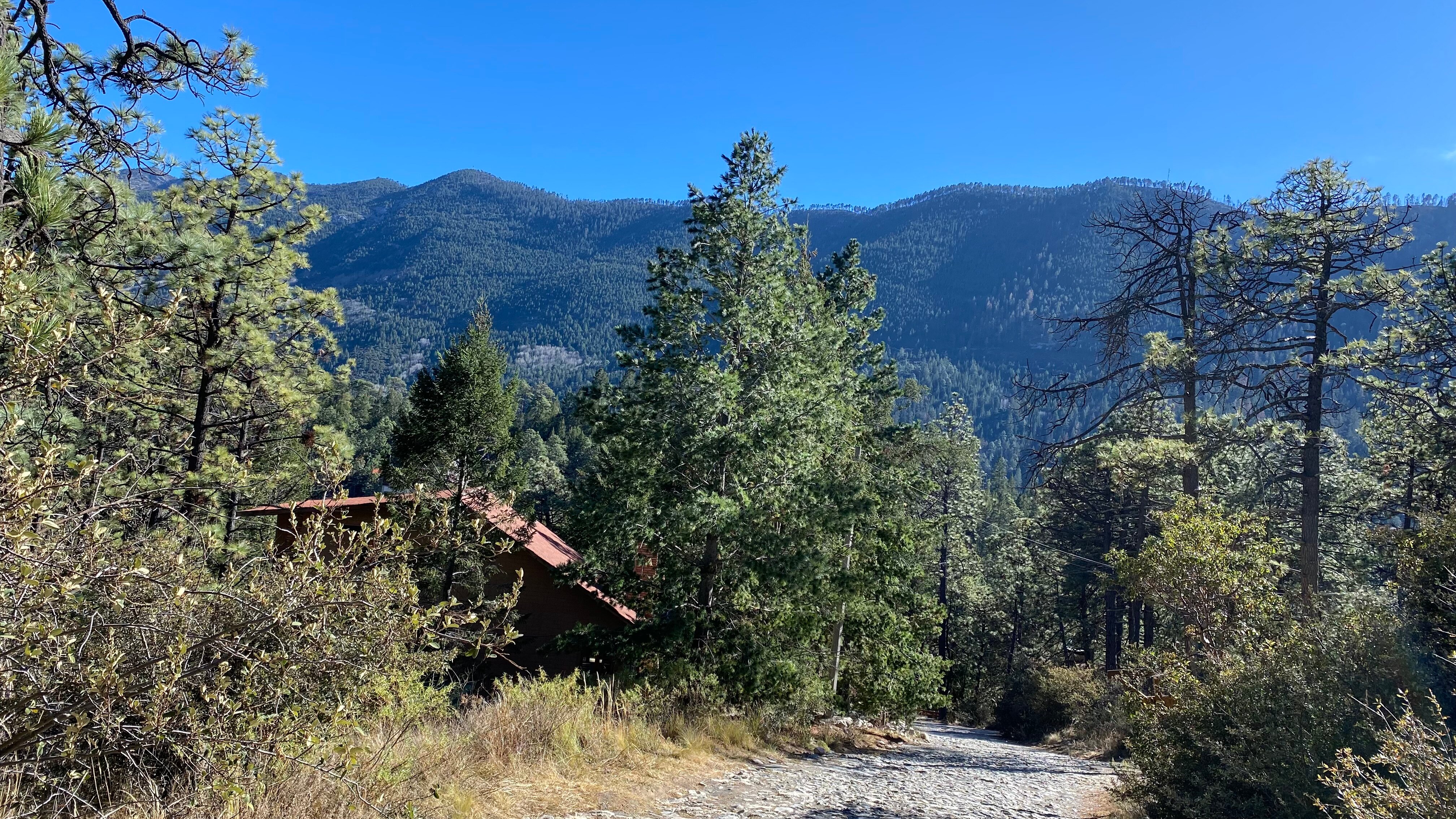 Bosques de Monterreal-官方