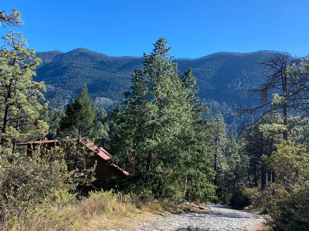 Bosques de Monterreal主图