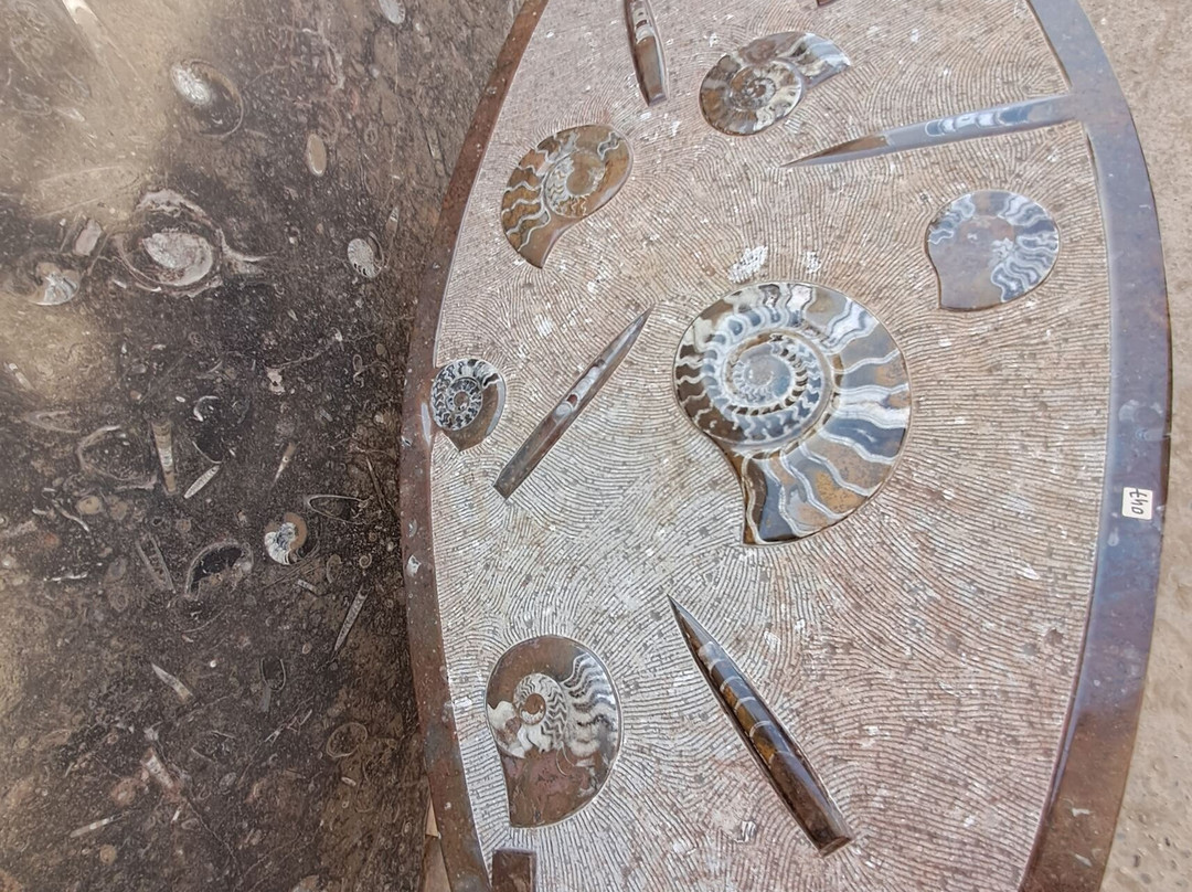 Macro Fossiles Kasbah-Erfoud必去景点