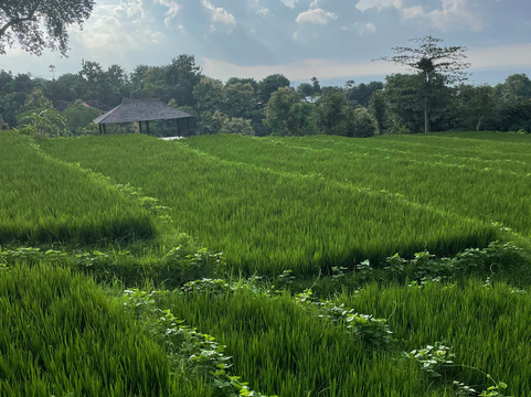 普瑞芒海景度假酒店及水疗中心主图