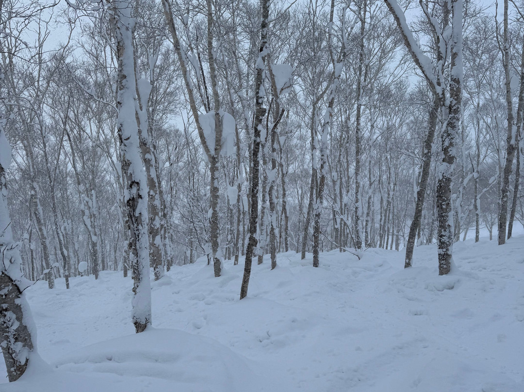 新雪谷村滑雪胜地景点图片