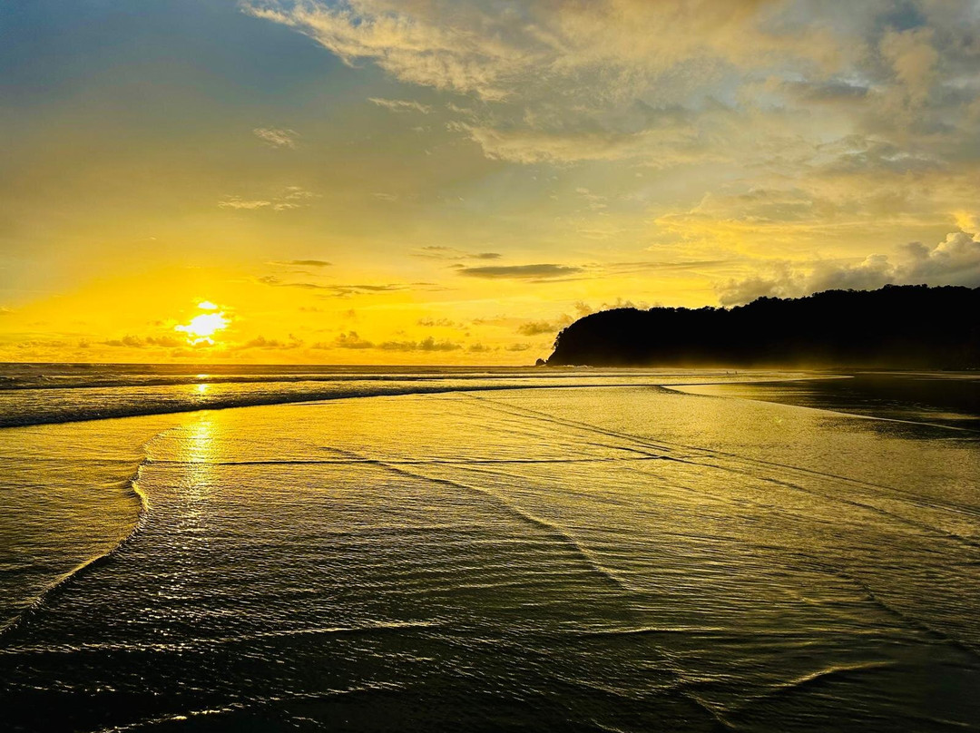 Palmetto Lodge主图