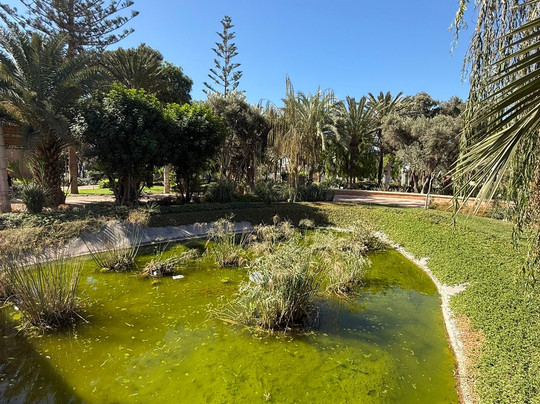 Jardin de Olhao-阿加迪尔必去景点