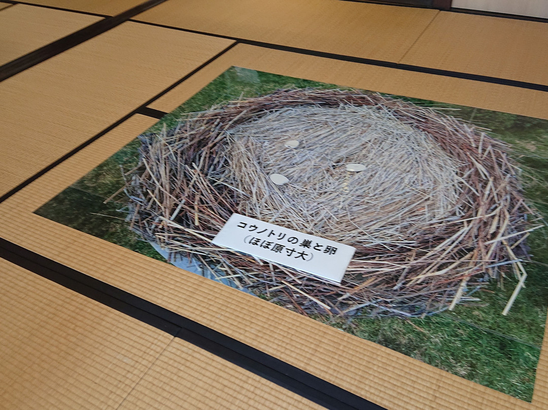 Watarase Retarding Basin Stork Center-小山市必去景点