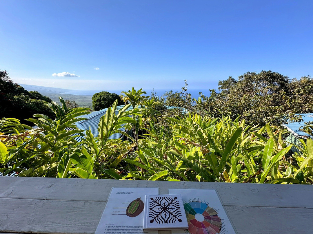 Hala Tree Coffee-库克船长必去景点