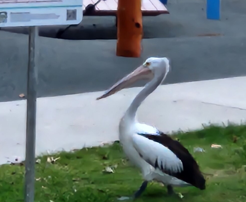 Midlands Motel主图