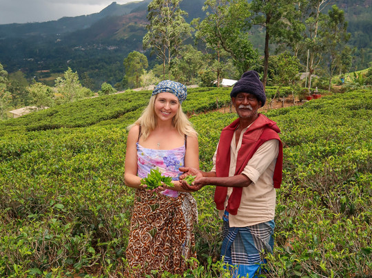 WoW Lanka tours-Gampaha必去景点