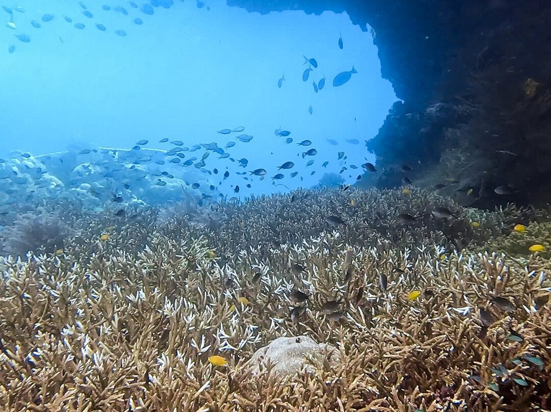 La Galigo Liveaboard - Raja Ampat South 9D/8N景点图片