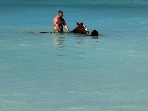 Five Gaits Equestrian Center-布里奇顿必去景点