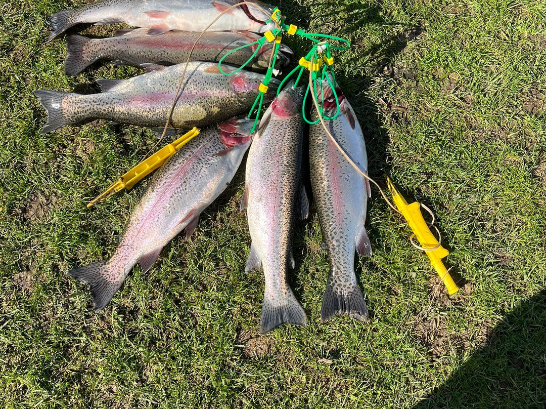 Chalk Springs Trout Fishery景点图片