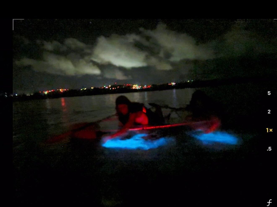 Tropical Reef Watersport-Vieques必去景点