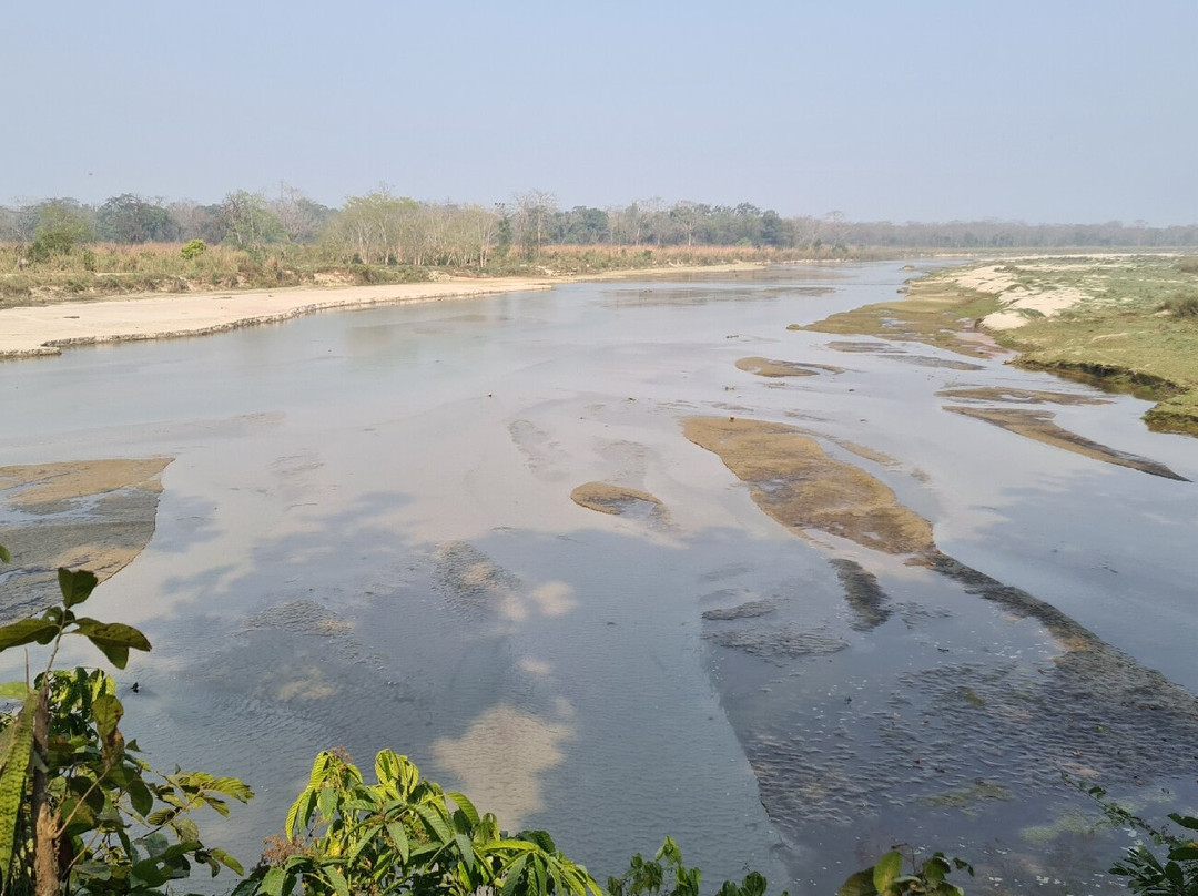 United Jungle Guide Service-奇旺国家公国必去景点