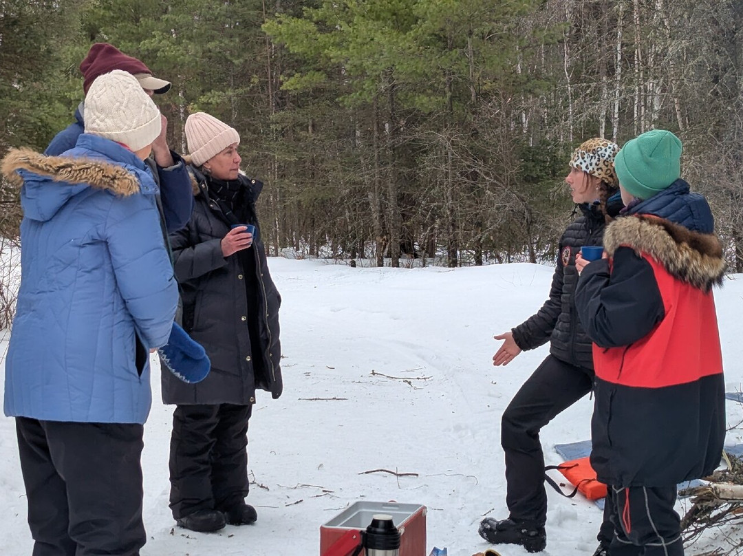 White Wilderness Sled Dog Adventures-伊利必去景点