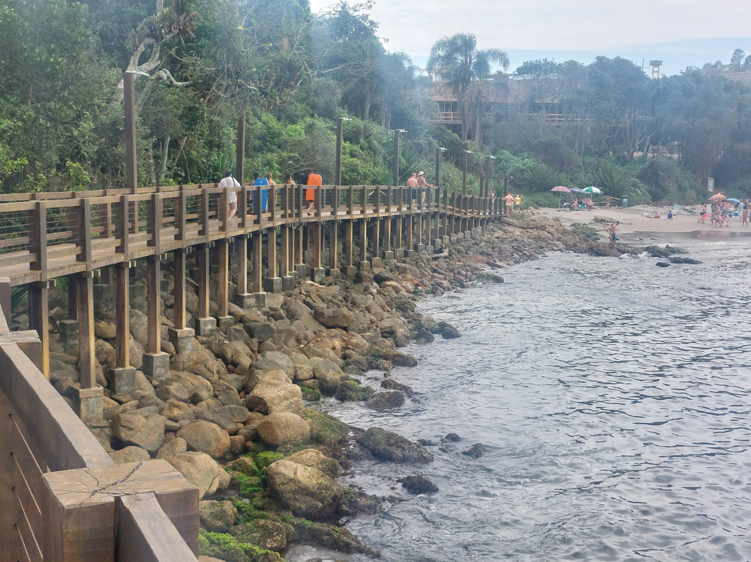 Passarela Do Ribeiro Bombinhas-Bombinhas必去景点