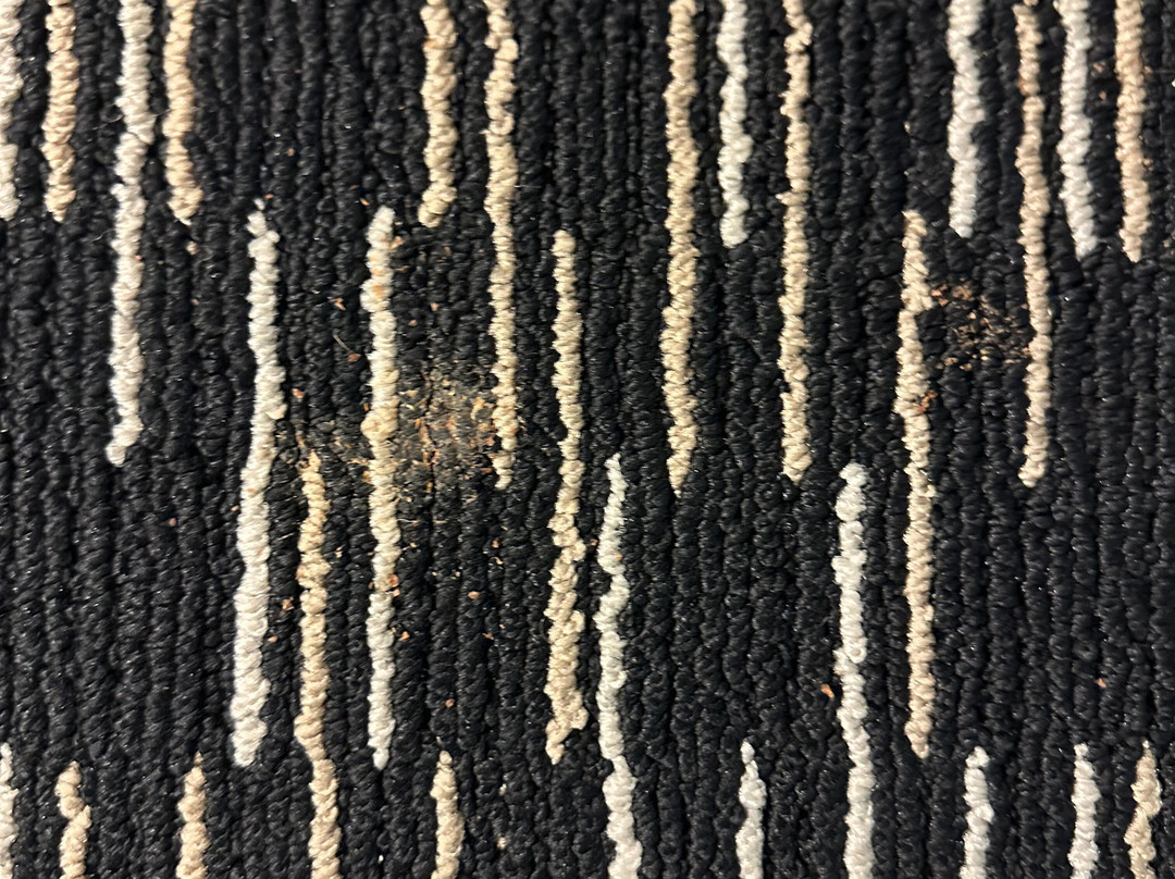 Wingate by Wyndham Gillette主图