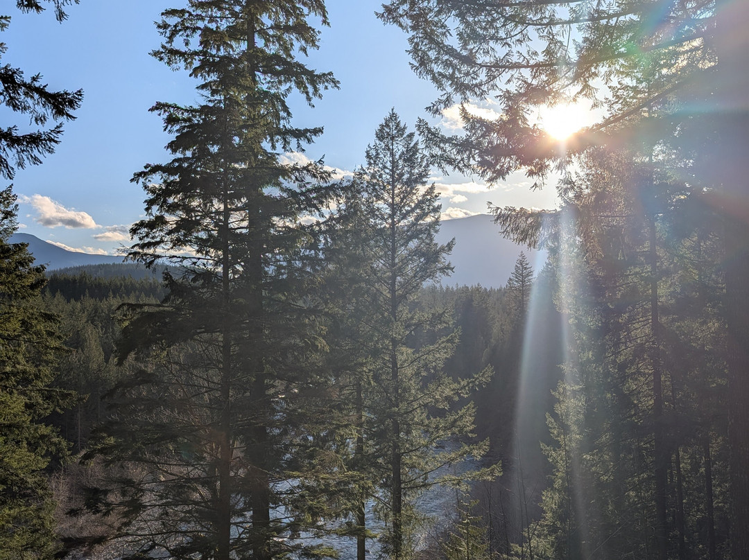 The Roaring River Bed & Breakfast主图