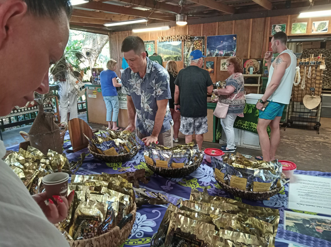 North Shore Macadamia Nut Company-哈雷瓦必去景点