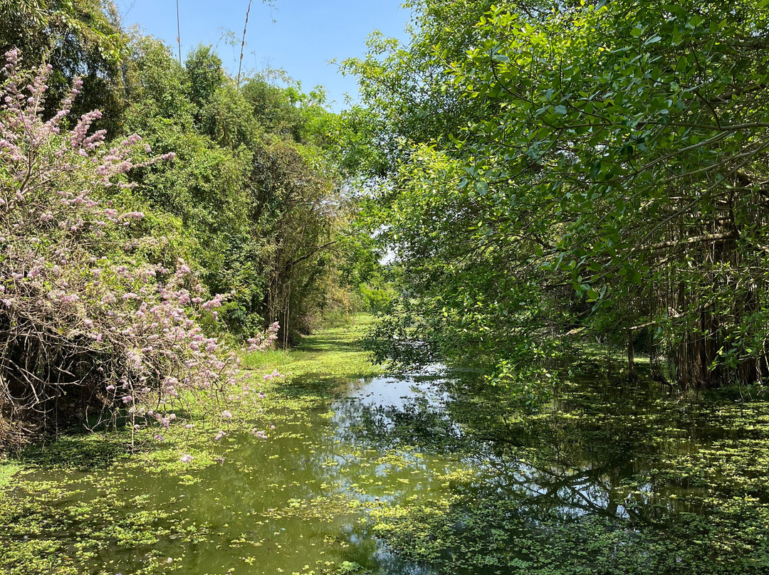 Karanji Lake-迈索尔必去景点
