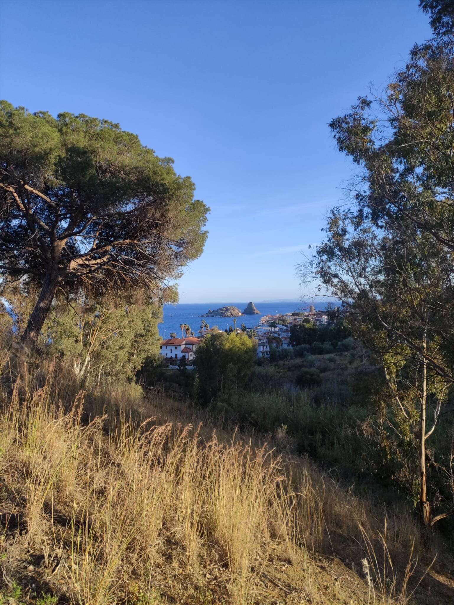 Villa delle Palme-官方