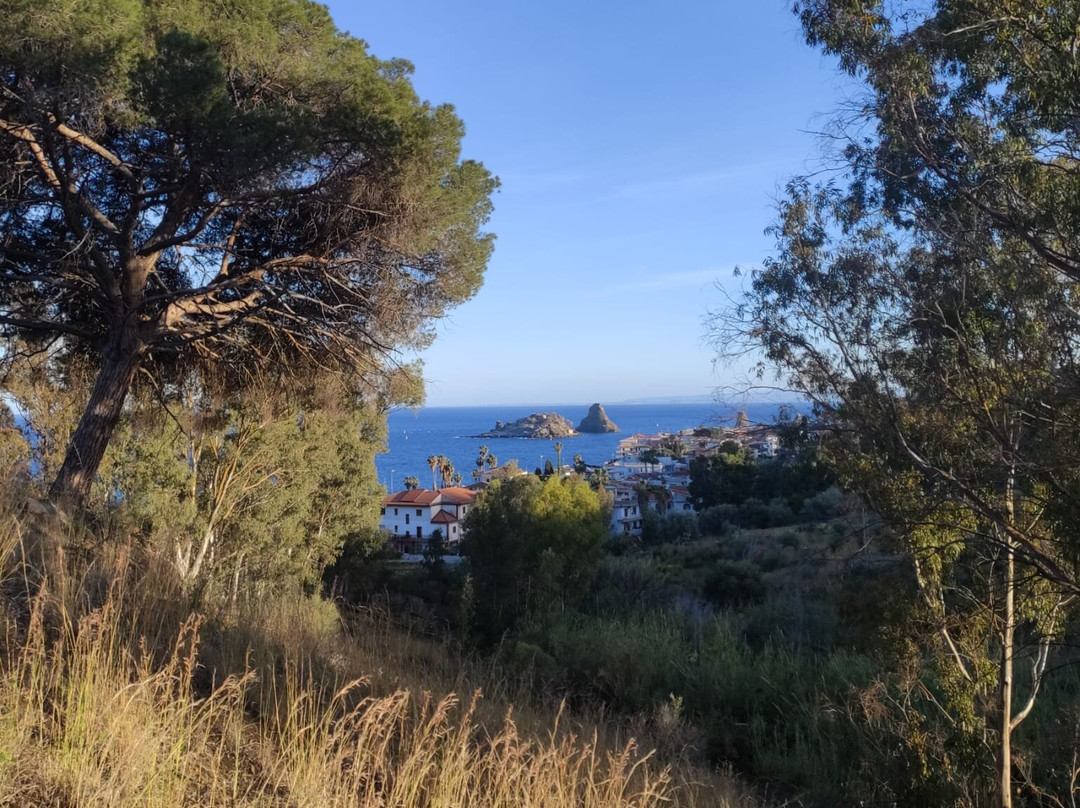 Villa delle Palme主图