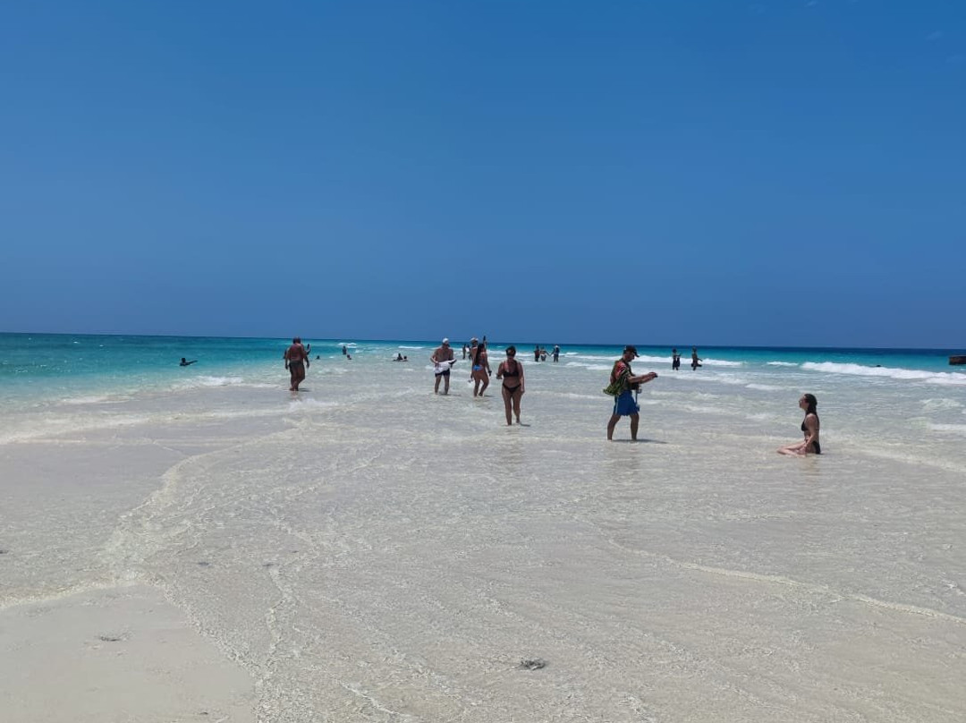 Kiwengwa zanzibar-基万嘎必去景点