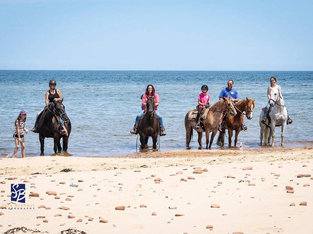 Lakeside Trail Rides-Morell必去景点