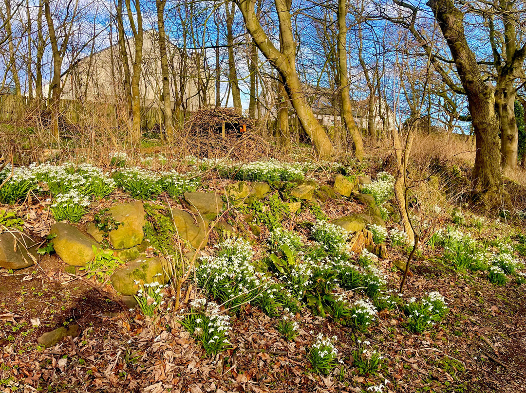 Denburn Wood-Crail必去景点