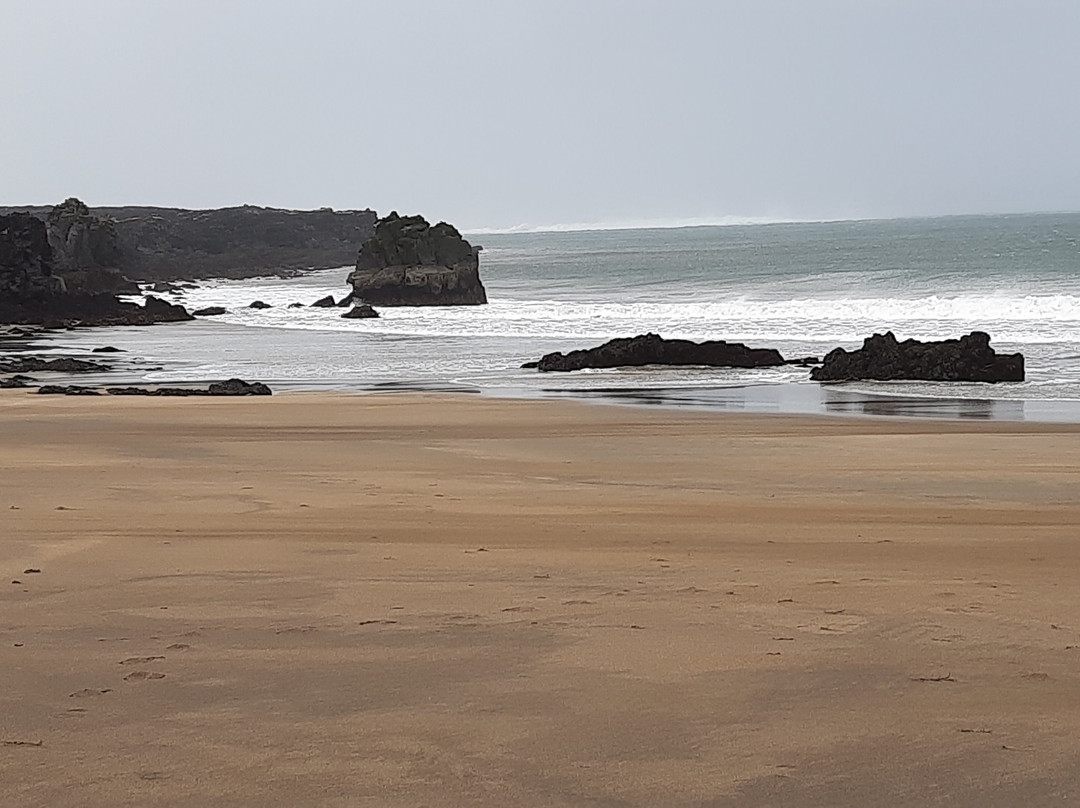 Skardsvik Beach-Hellissandur必去景点