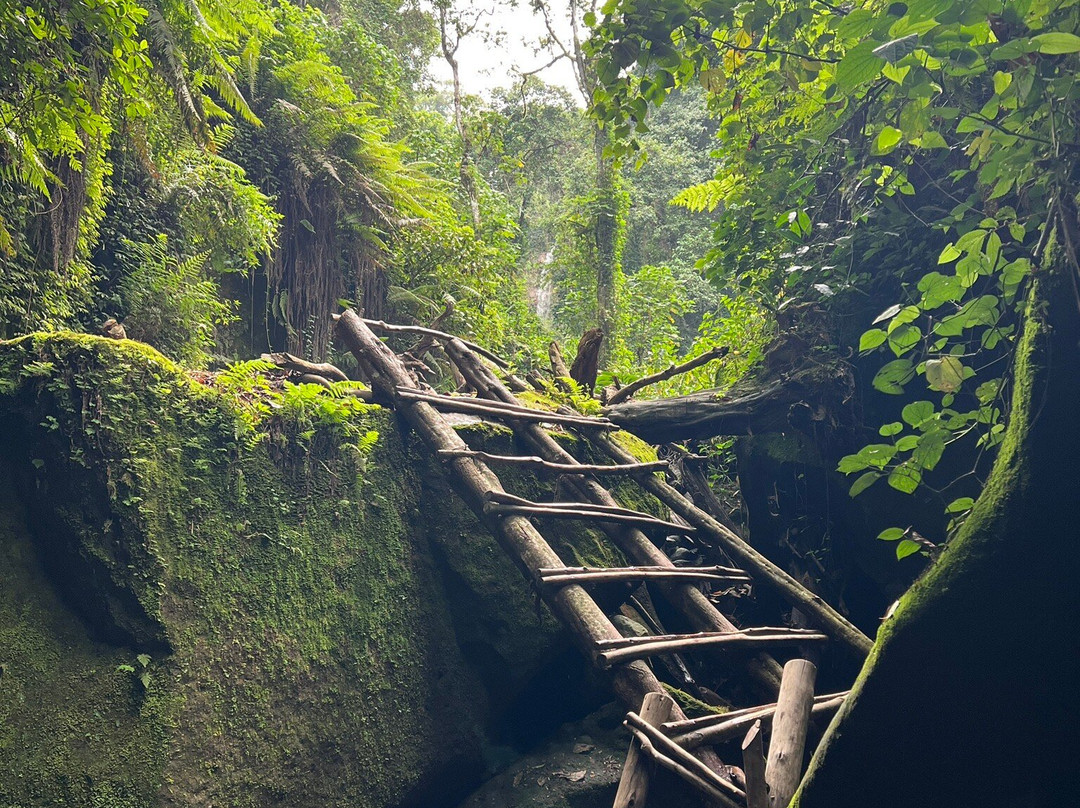 Kilimanjaro Cultural Experience-乞力马扎罗山国家公园必去景点