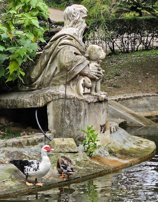 Jardim Da Estrela Park-里斯本必去景点