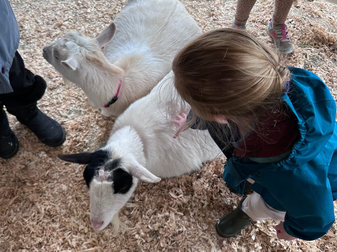 Beacon Hill Children's Farm-维多利亚必去景点