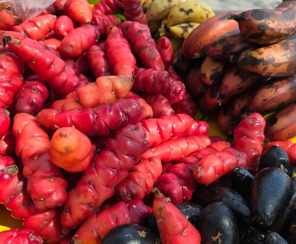 MOH - Organic Market Huatulco-Crucecita必去景点