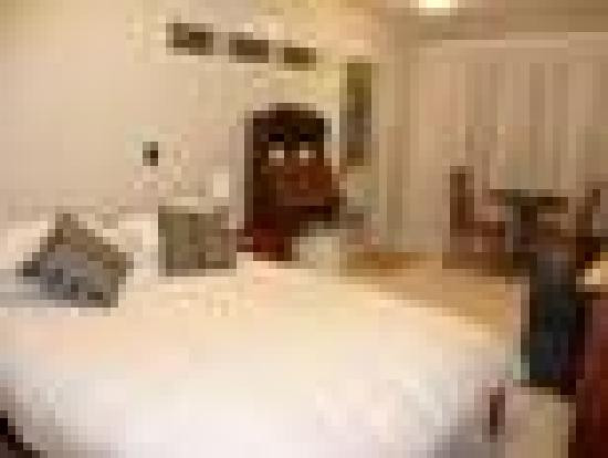 Abed in Devonport主图