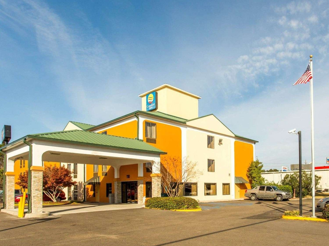 Livingston酒店住宿-Comfort Inn Hammond