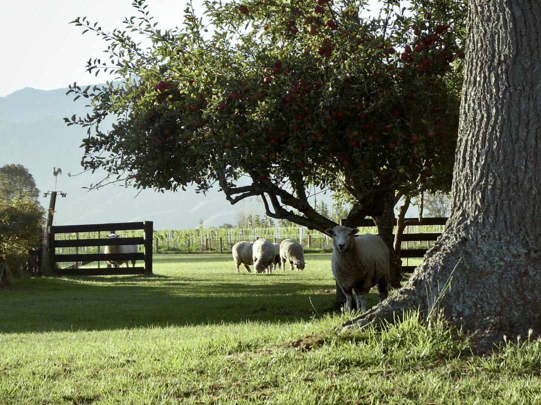 Rowley Estate Homestead
