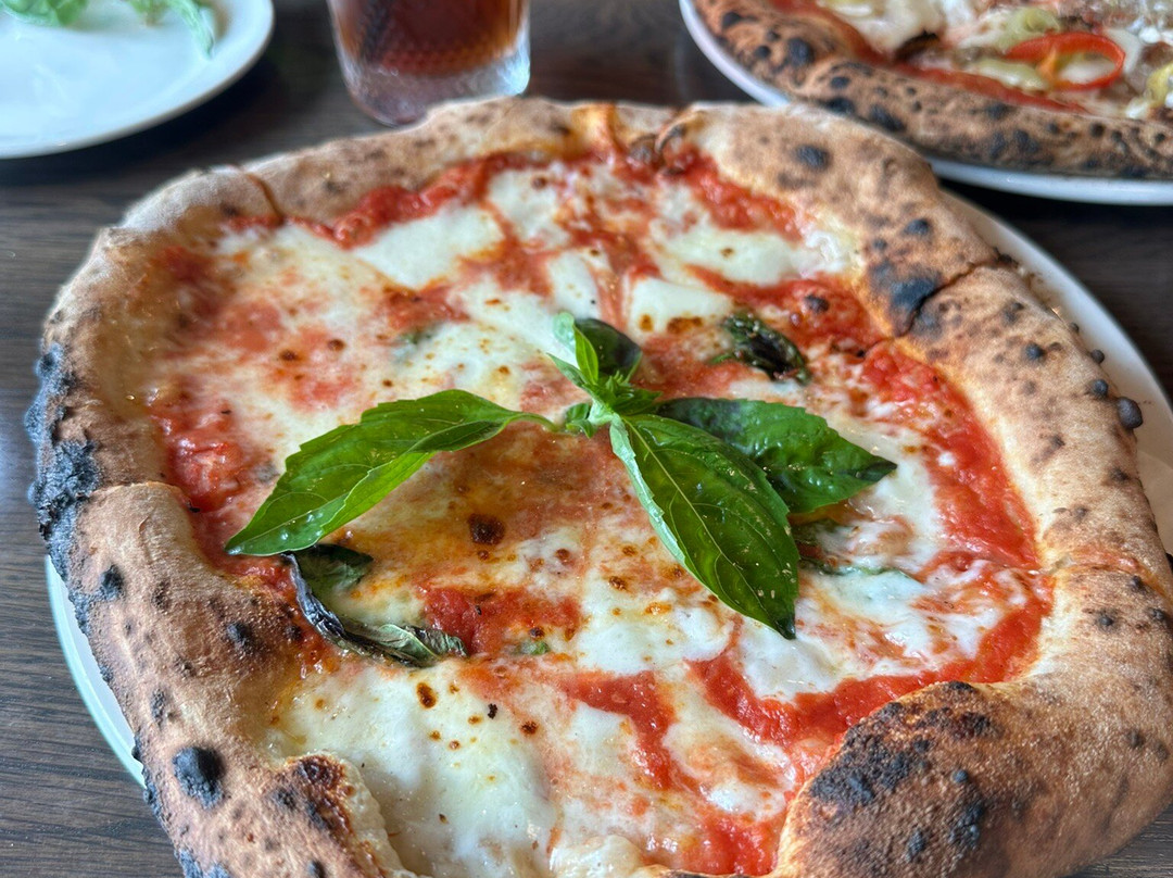 Pizzaiolo Primo South Fayette