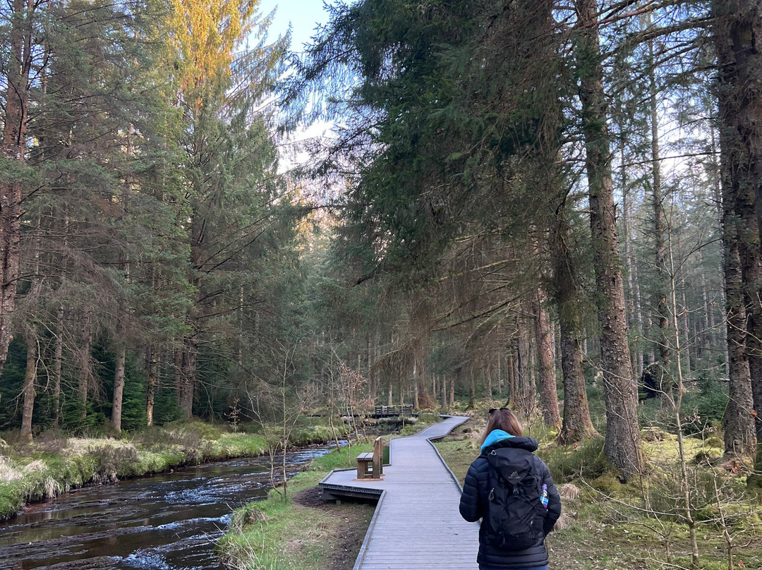 Hafren Forest-Llanidloes必去景点