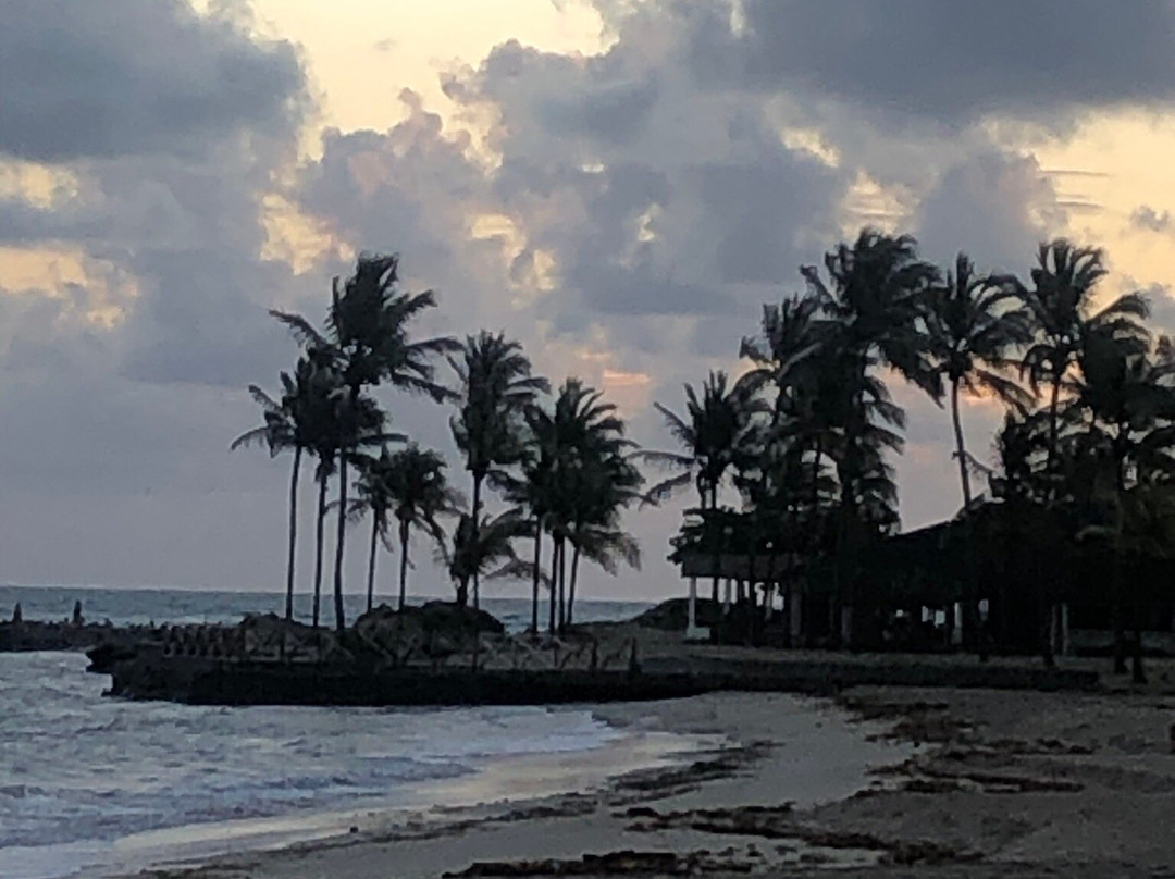 Emotions by Hodelpa Puerto Plata