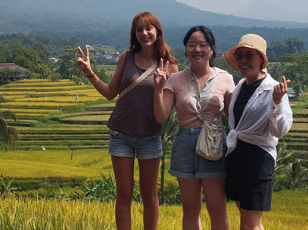 Jatiluwih Cycling Tour By Easy Bali Cycling-达巴南必去景点