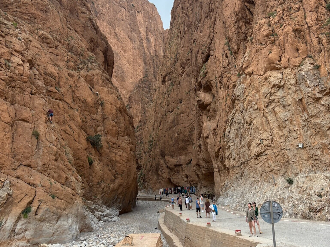 Fez Morocco Guide-非斯必去景点