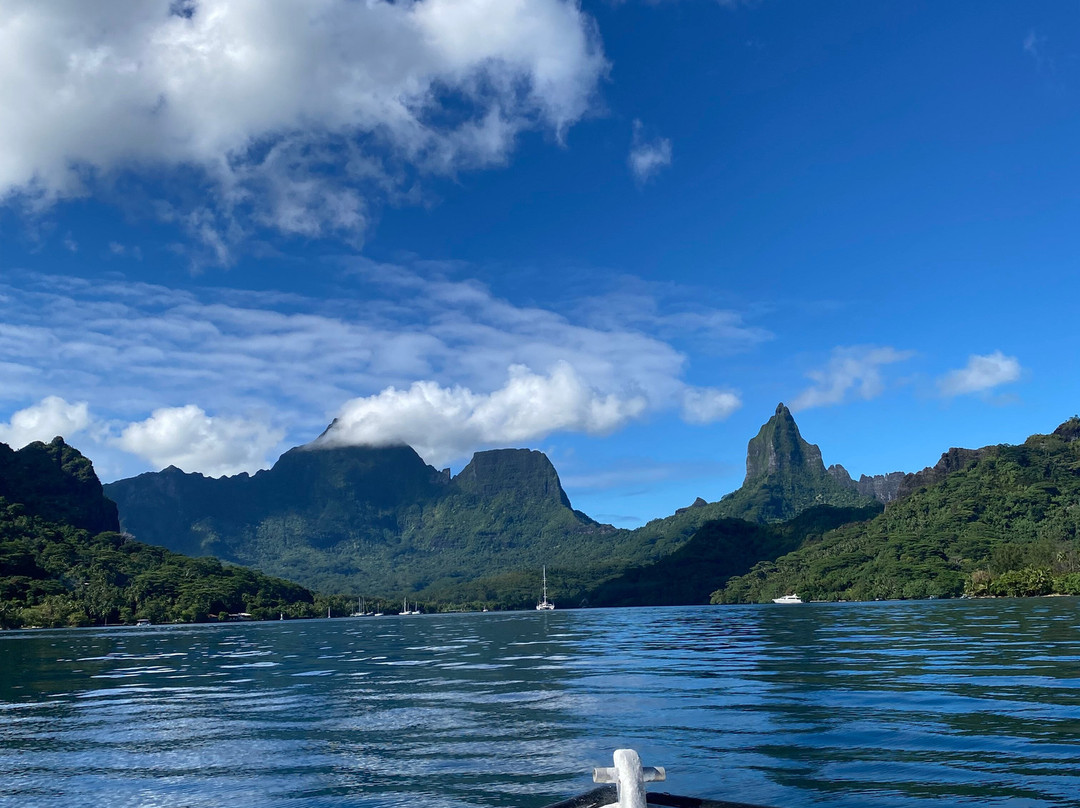 Koa Boat Tour-Tiahura必去景点